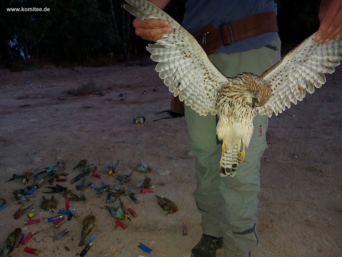image NGO criticises decision to allow hunting in Larnaca’s Lake Soros