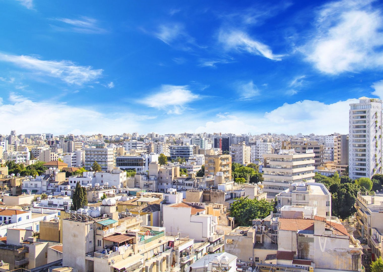 image Cyprus Business Now