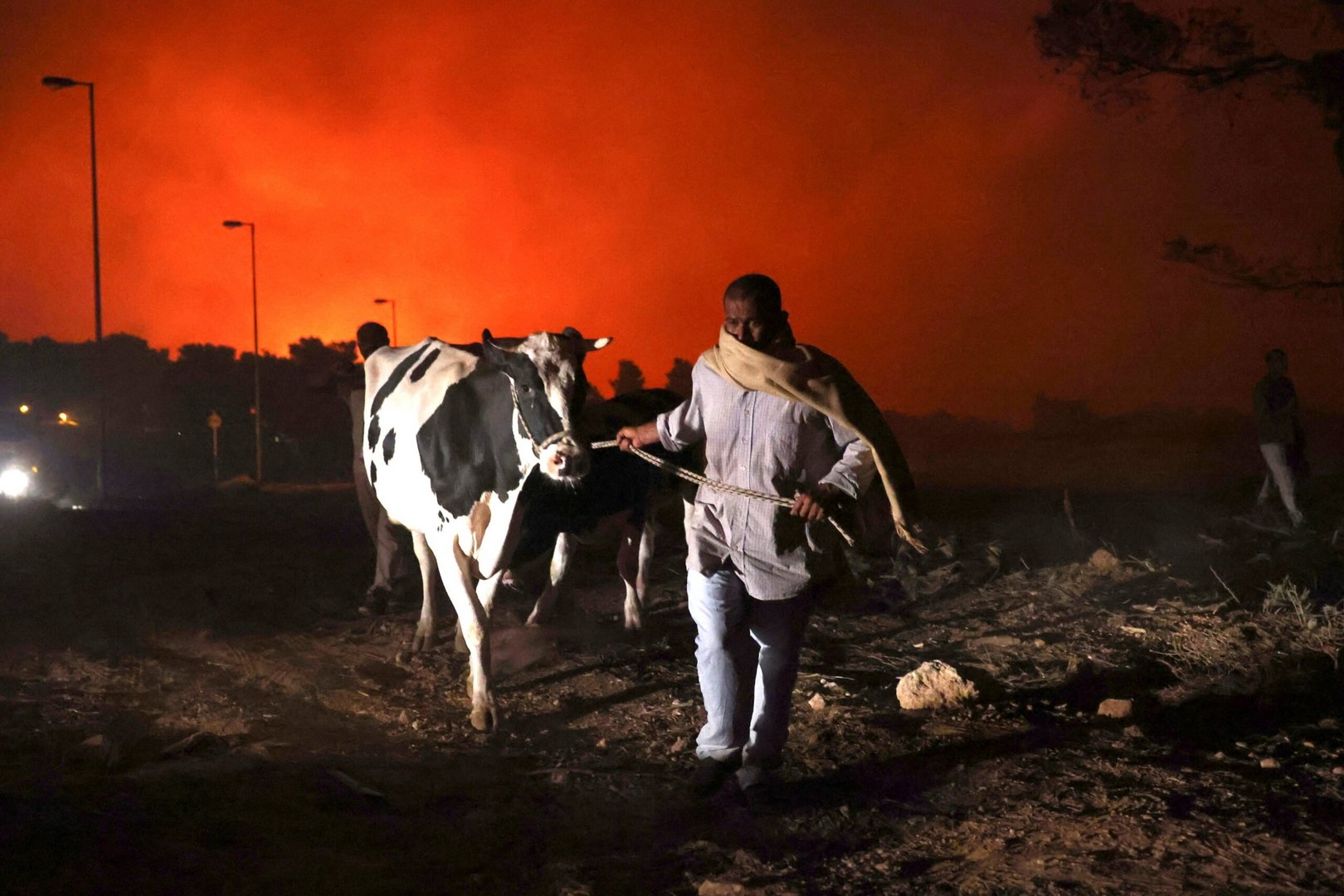 wildfires rage in north of athens