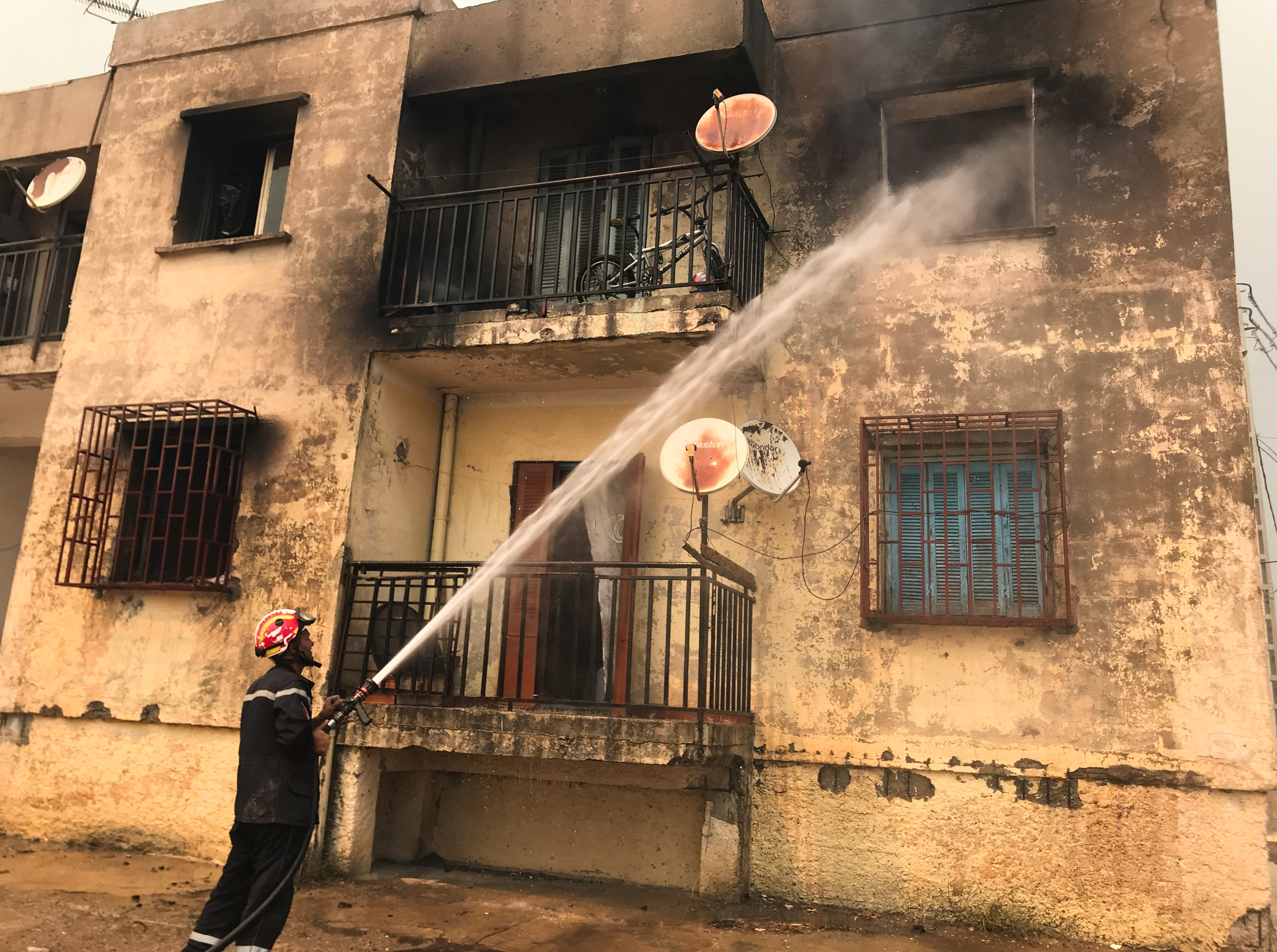 image At least 65 killed in Algerian wildfires, Greece and Italy burn