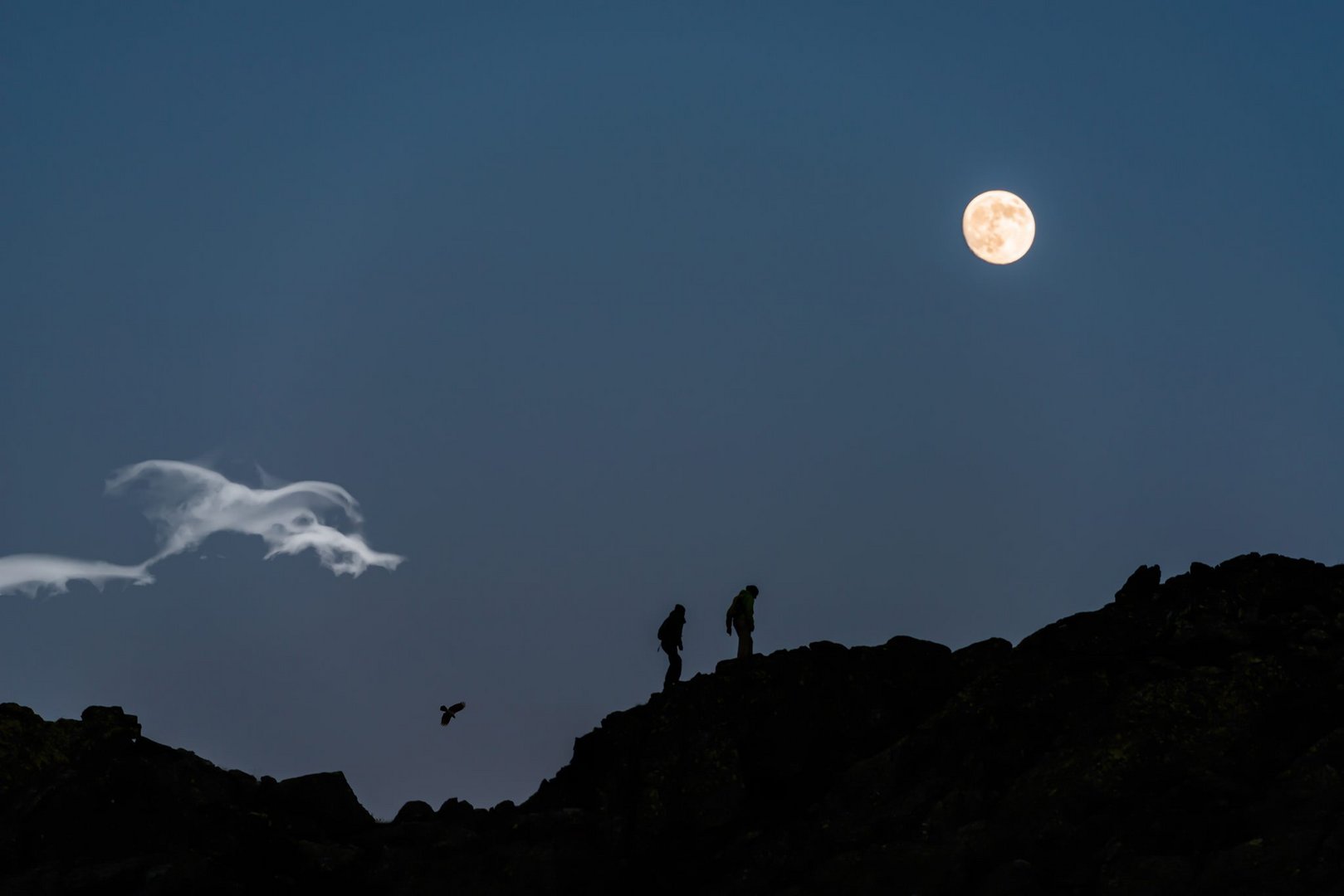 image Hiking in the moonlight