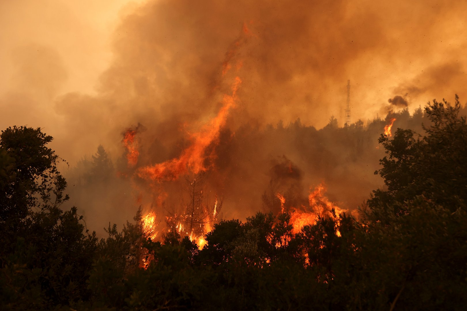 image Port authority announces collections for Greek fire victims