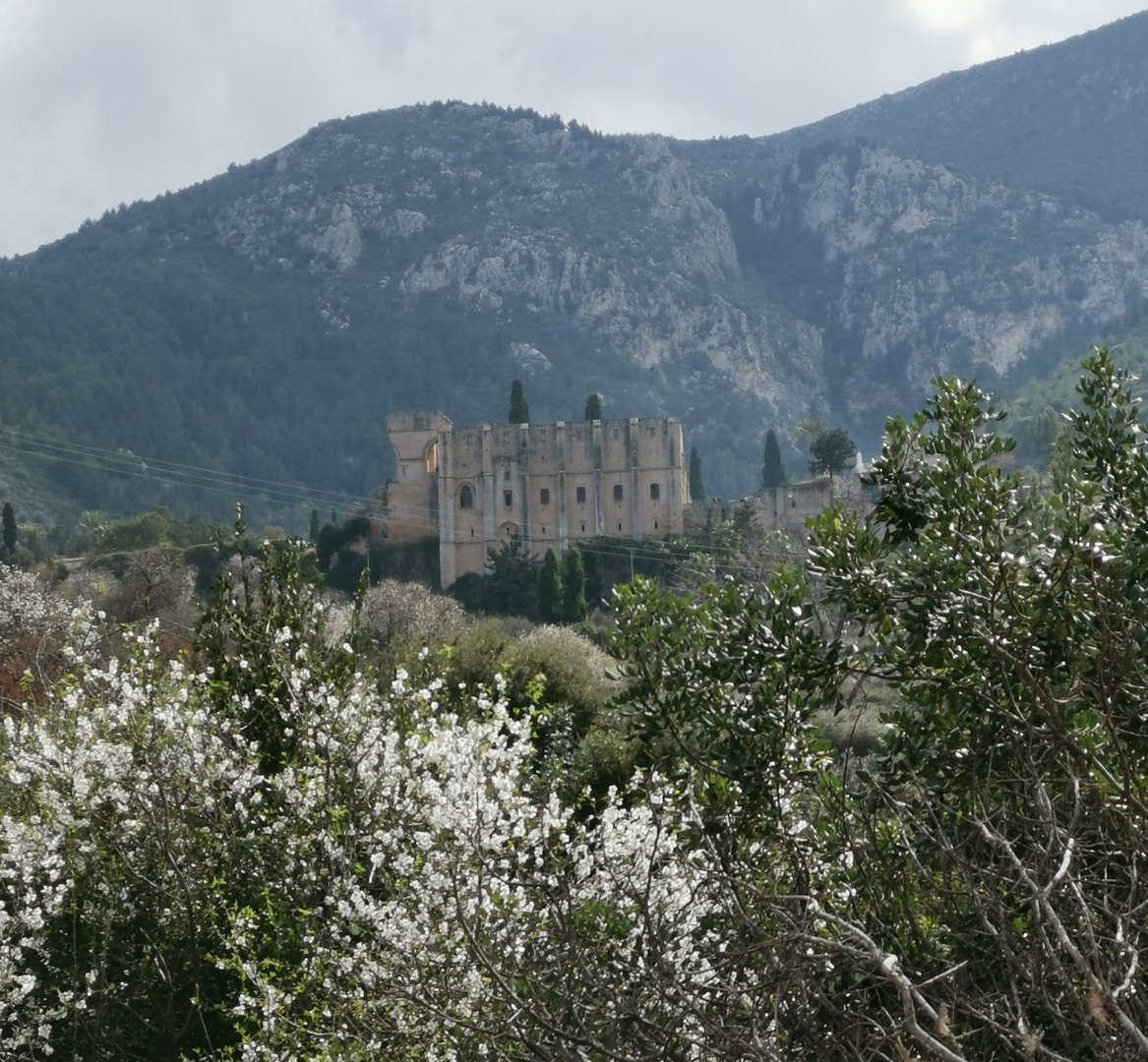 image Tug of war over historic ‘Crusader Path’ in north