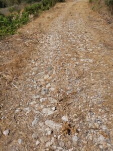 feature agnieszka the original path