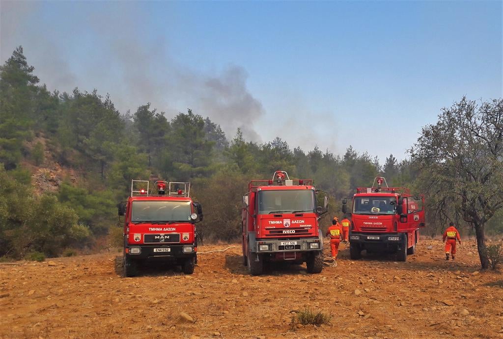 image Strong winds forecast prompts forest fire warning for Thursday