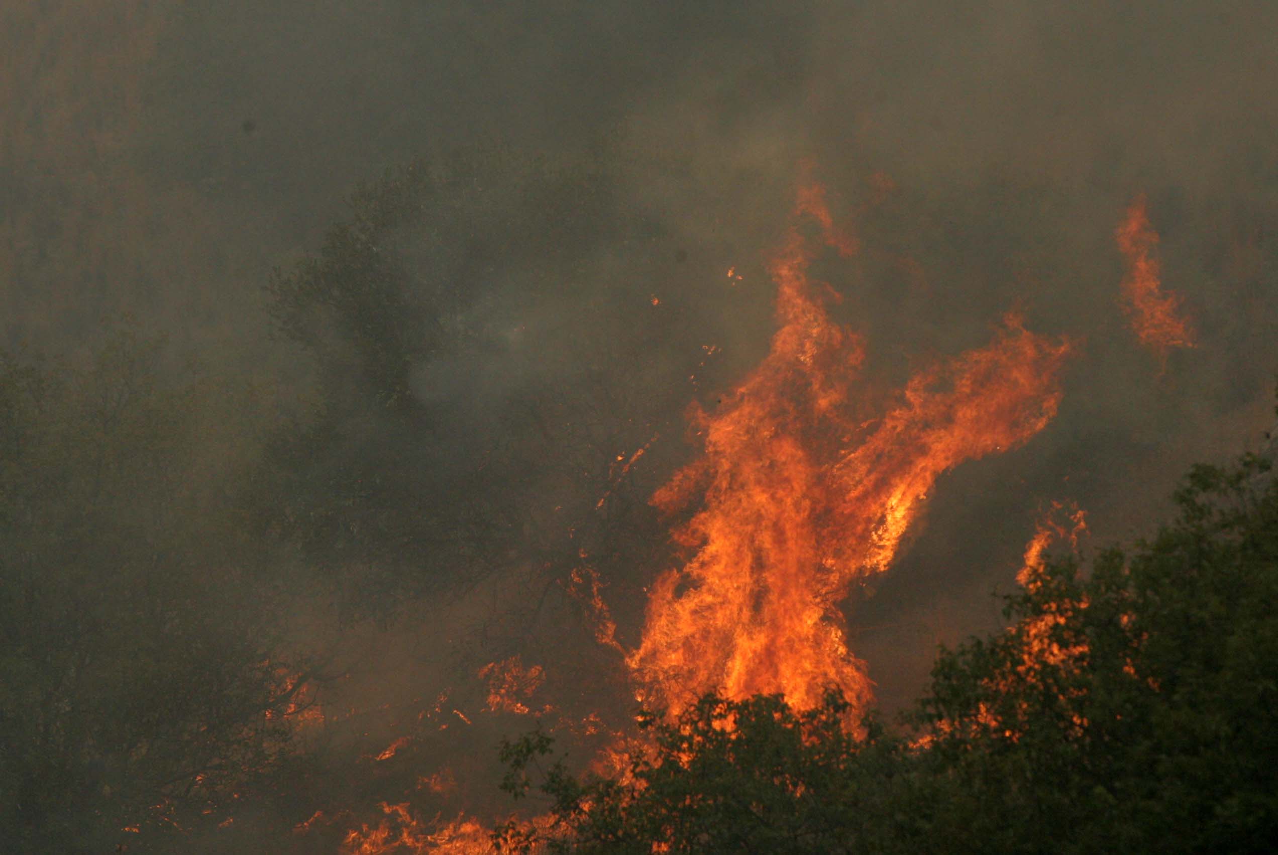 image Fire in Paphos district under control (Updated)