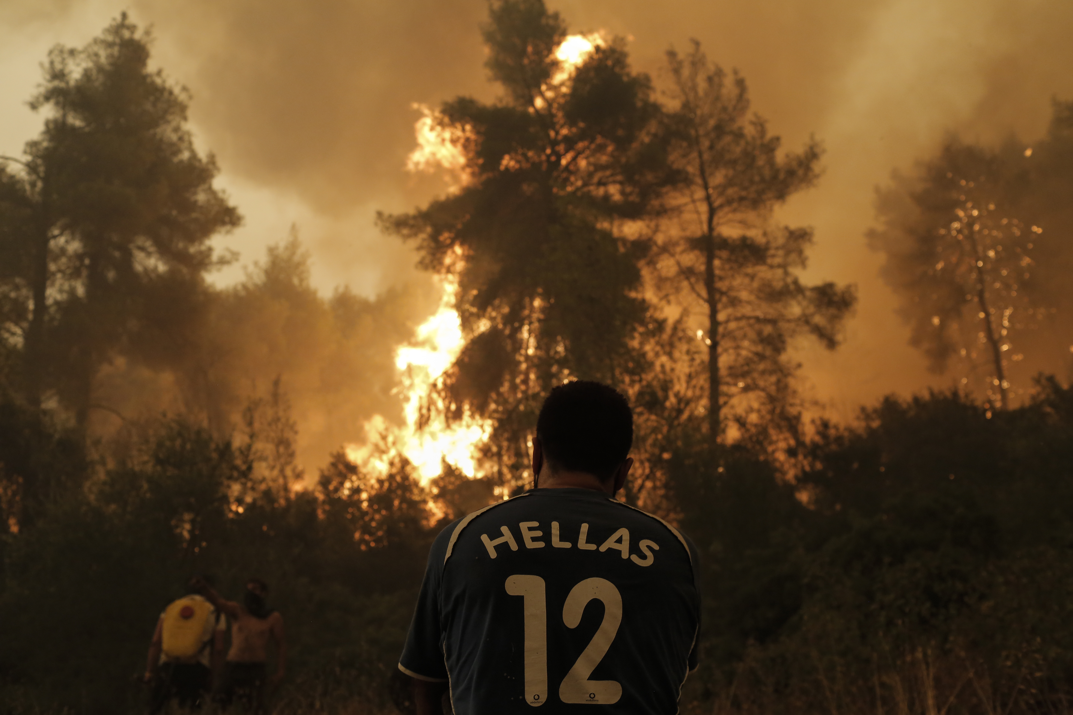 image University of Nicosia collecting supplies for fire-stricken in Greece