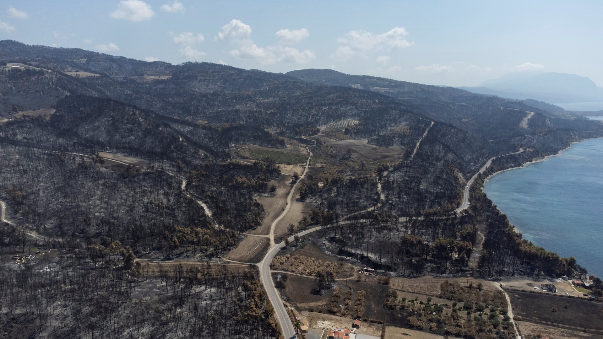 image Greek PM defends government as anger mounts over handling of fires