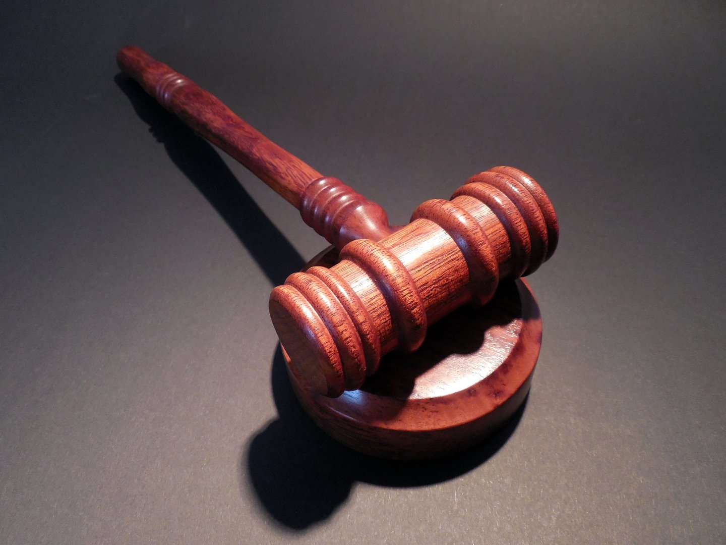 image Constitution looms large as MPs focus on judicial reform