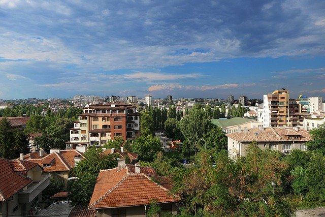 image Time to fill our towns with trees