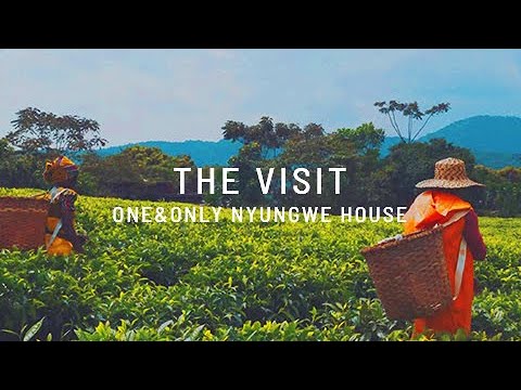 image Luxury stays: One&#038;Only Nyungwe House