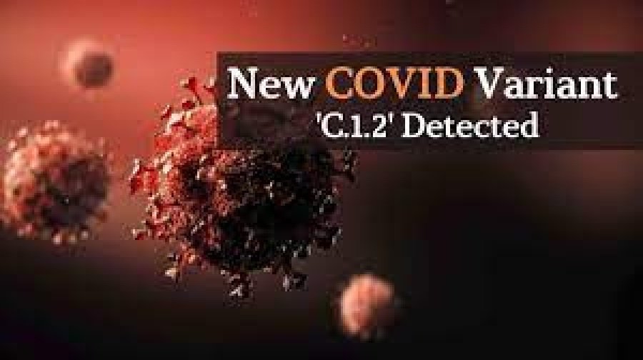 image Covid-19 new variant discovered in South Africa
