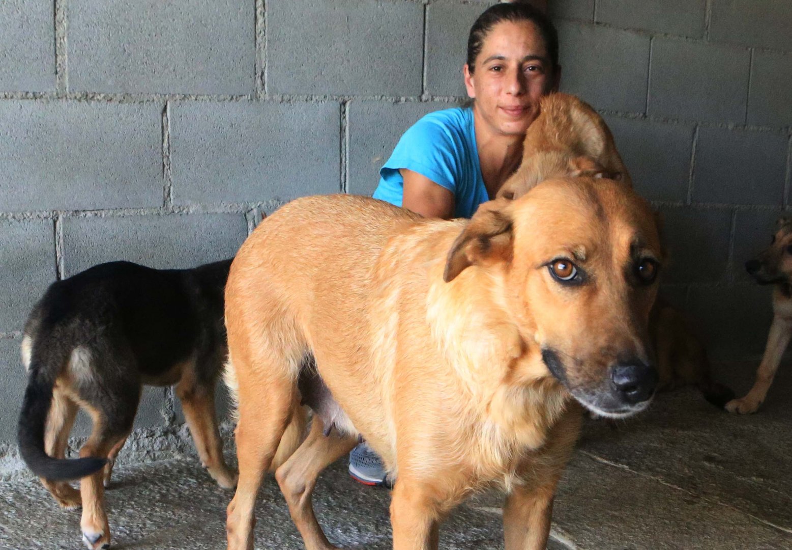image The joys and trials of an animal lover