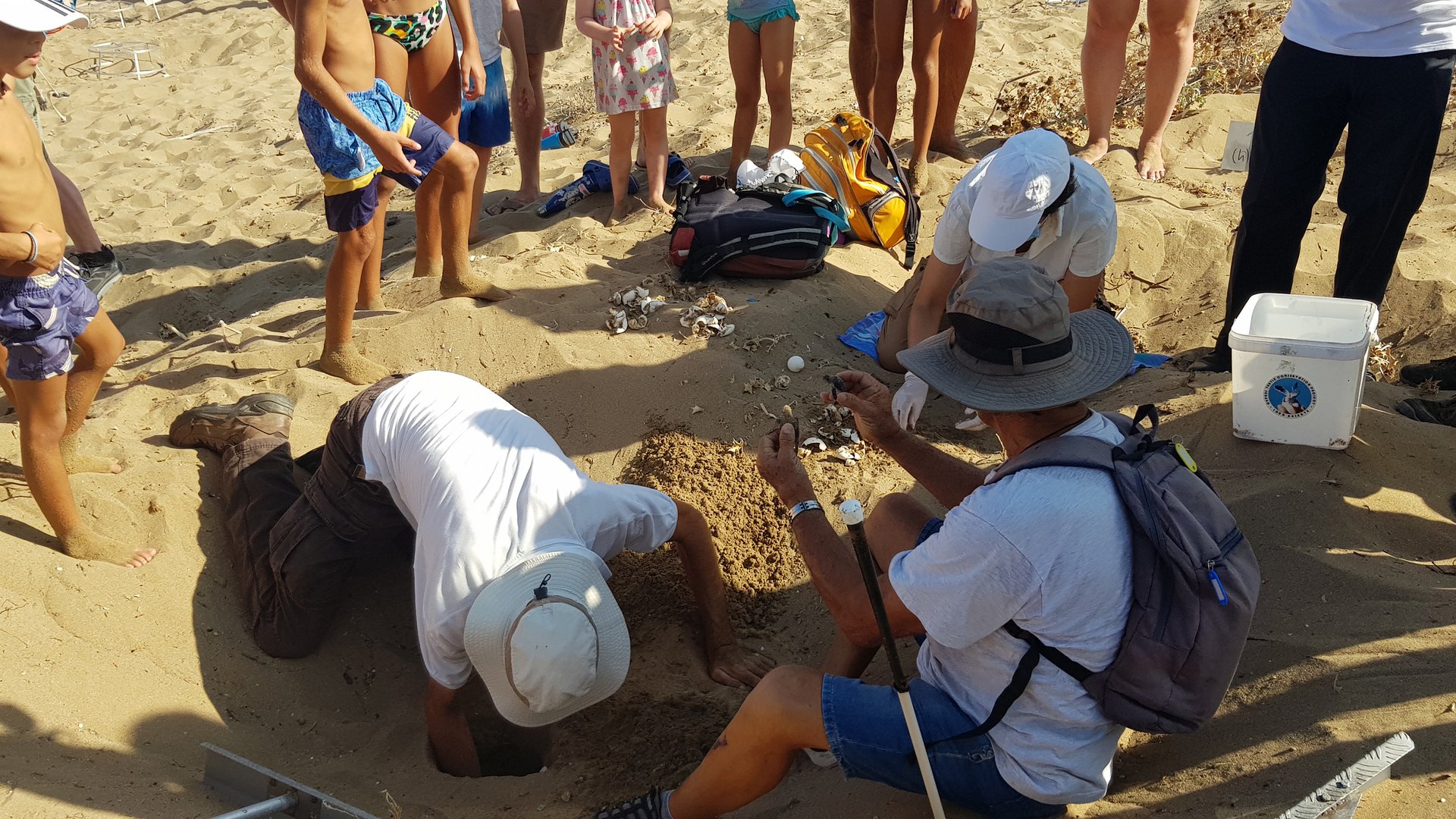 image US ambassador at Lara for release of baby turtles (photos)