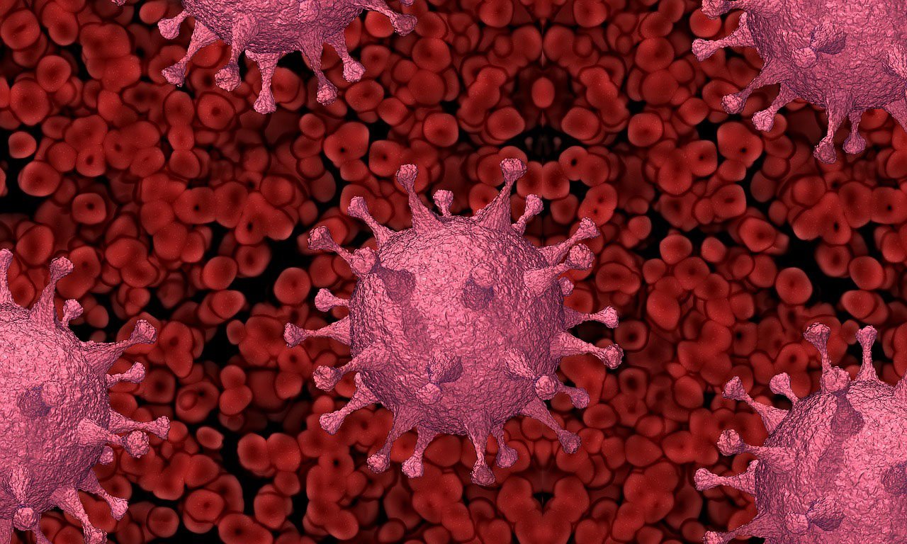 image Coronavirus: Three deaths, 598 new cases recorded on Tuesday (updated)