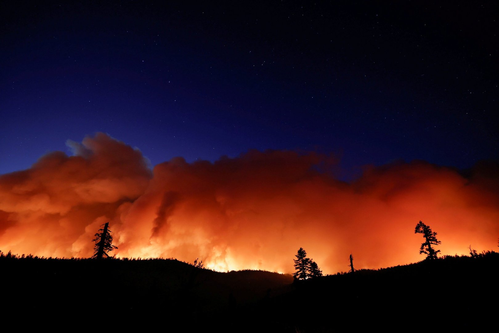 caldor fire burns near pioneer, california