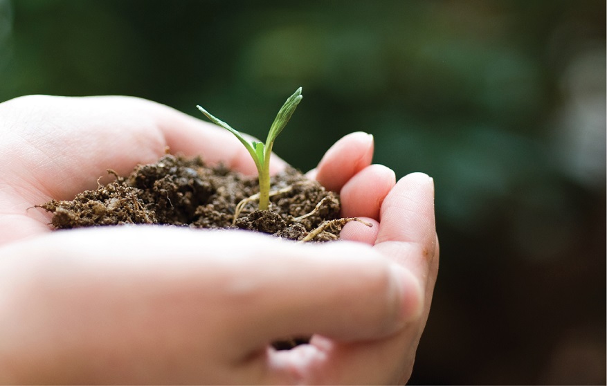 image Hellenic Bank to lead the Green Economy Transition