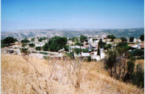 profile2 stavrokonnou