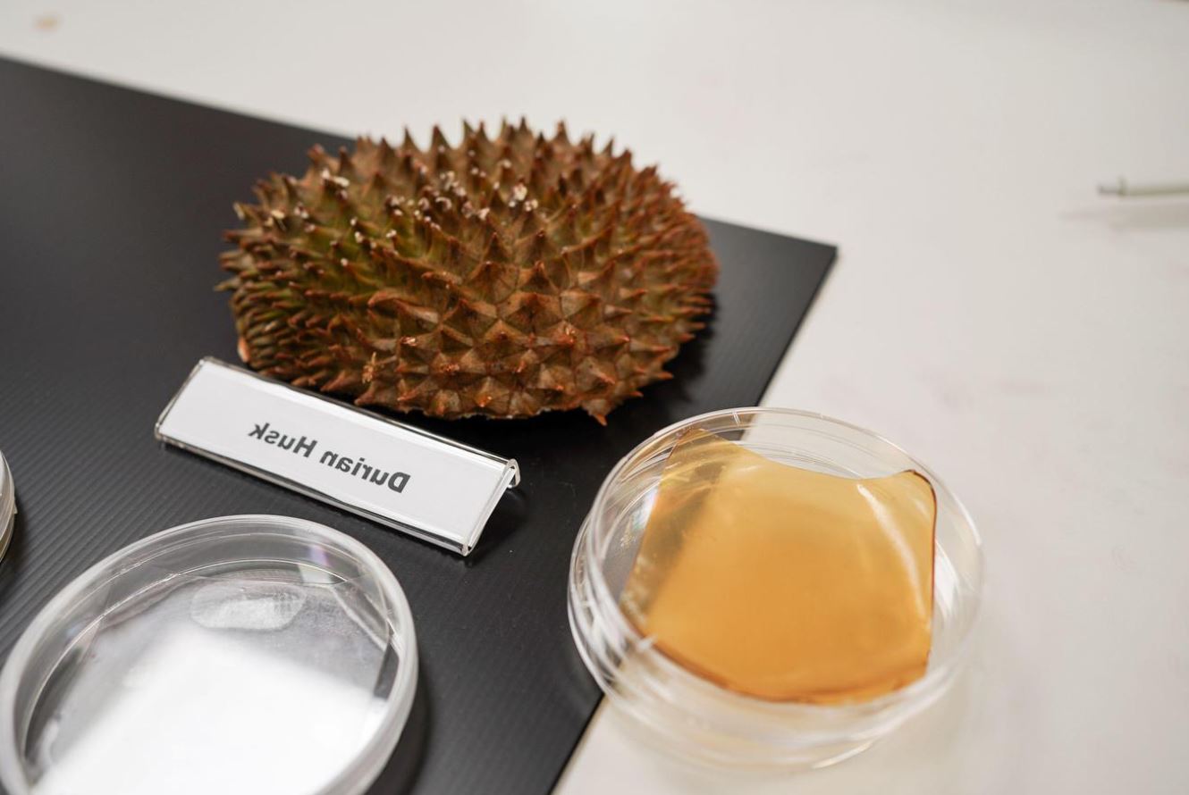 image Scientists in Singapore transform fruit leftovers into antibacterial bandages
