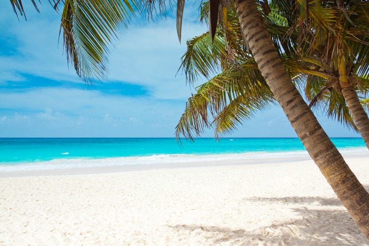image What to expect during the summertime vacation?