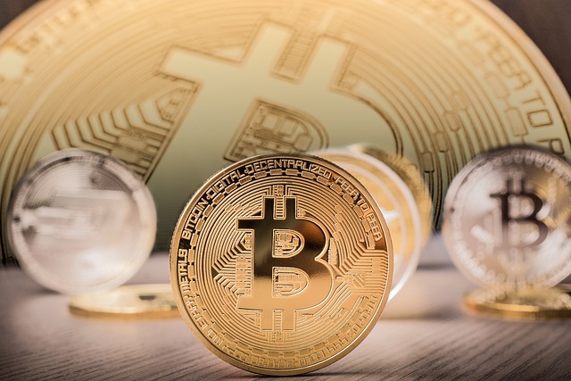 image The different things you can do using cryptocurrencies like Bitcoins!