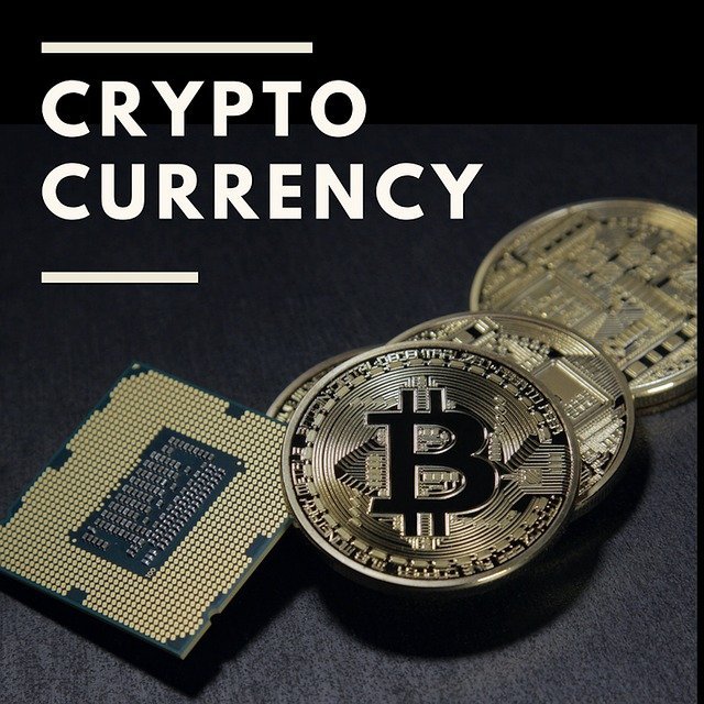 image Want to get the best wallet? Here’s the information about its types!