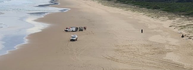 image Surfer dies in shark attack off Australian beach