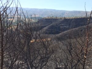 feature bejay the view from mina's home after the fire