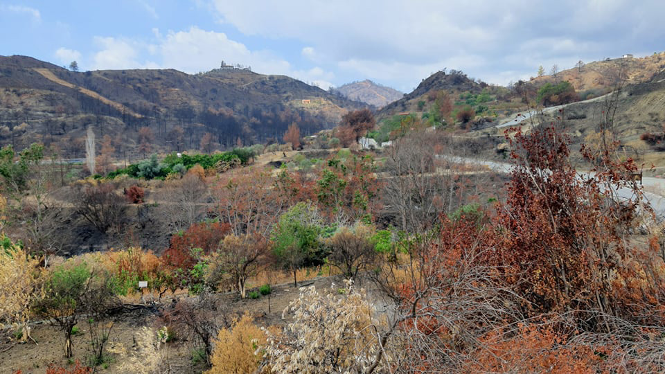 feature jon burned areas of land in odou