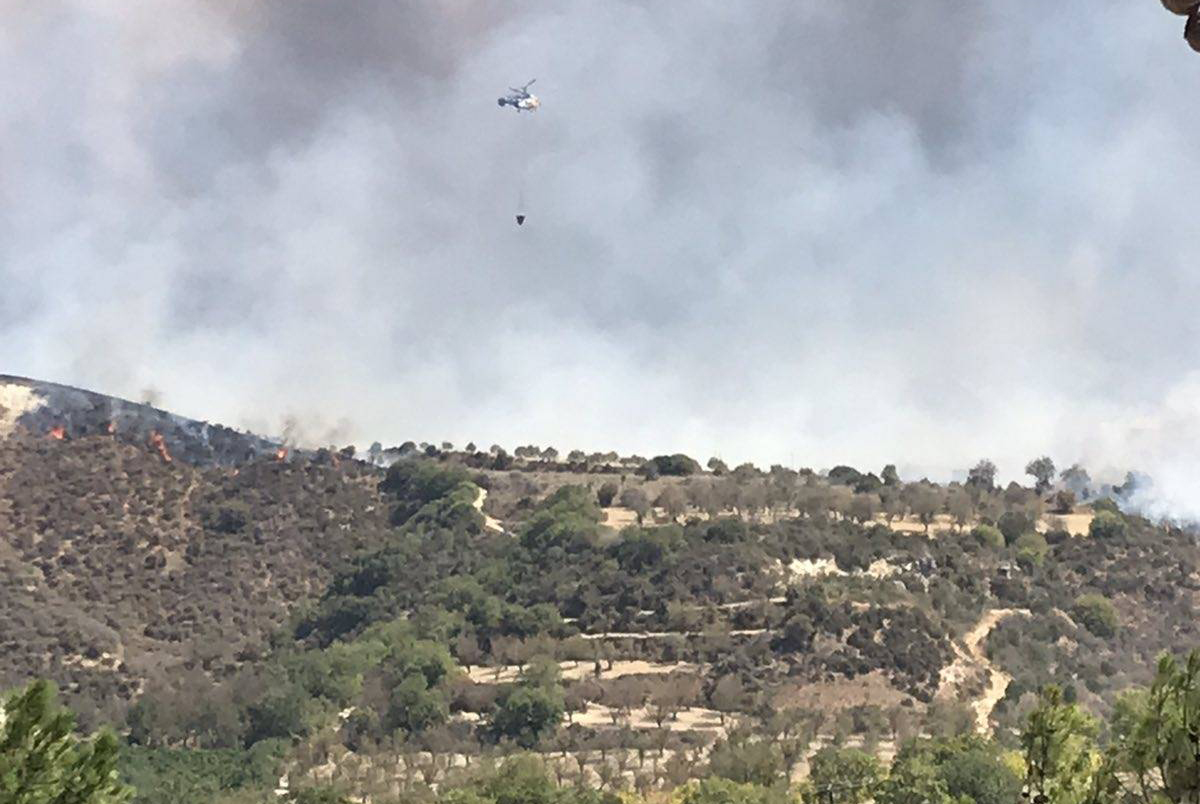 image Sunday fire was man made, fire service says (updated)