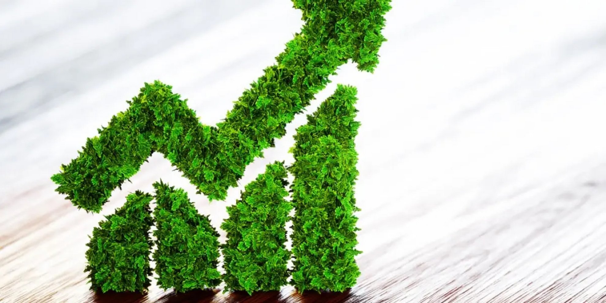 image EU launches green bonds to finance Recovery Plan