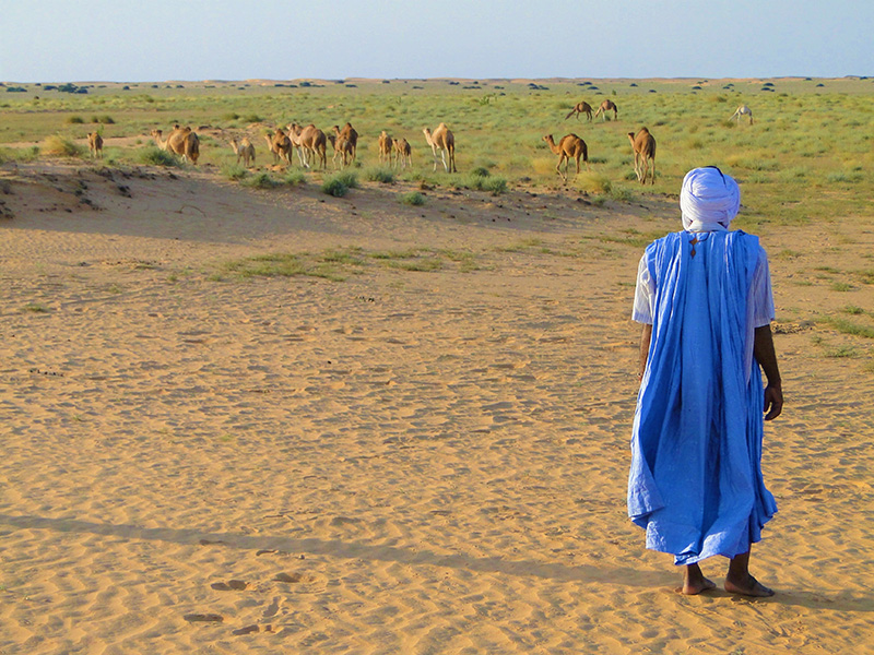 image What’s Eaten Where: Mauritania