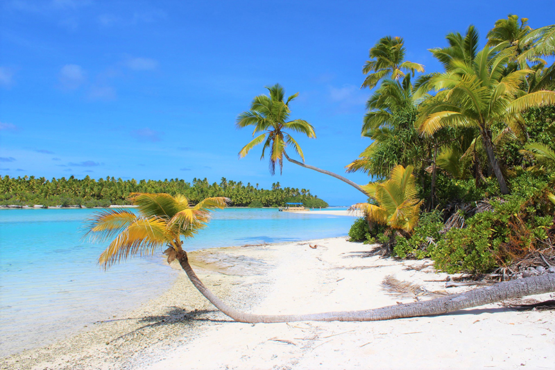 image What’s Eaten Where: Cook Islands