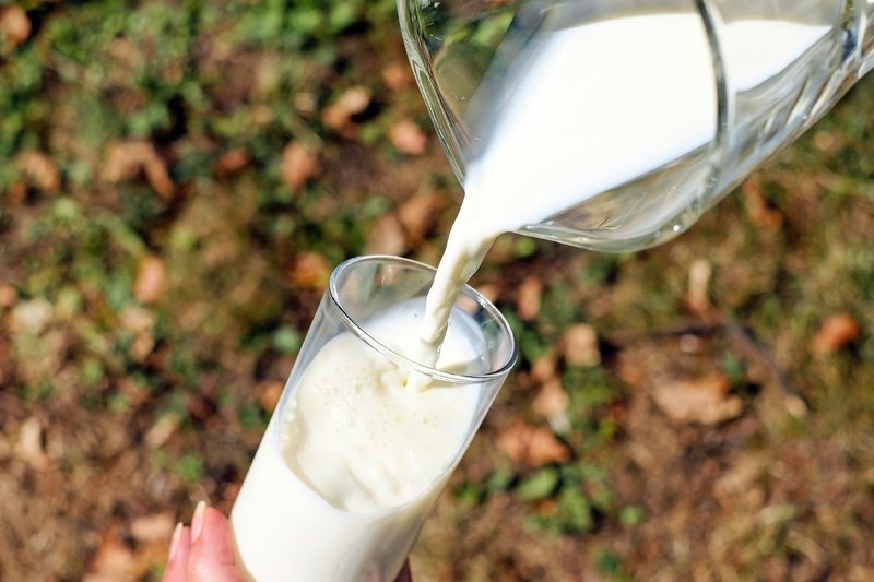image No milk price increase after dairy company drops move (updated)