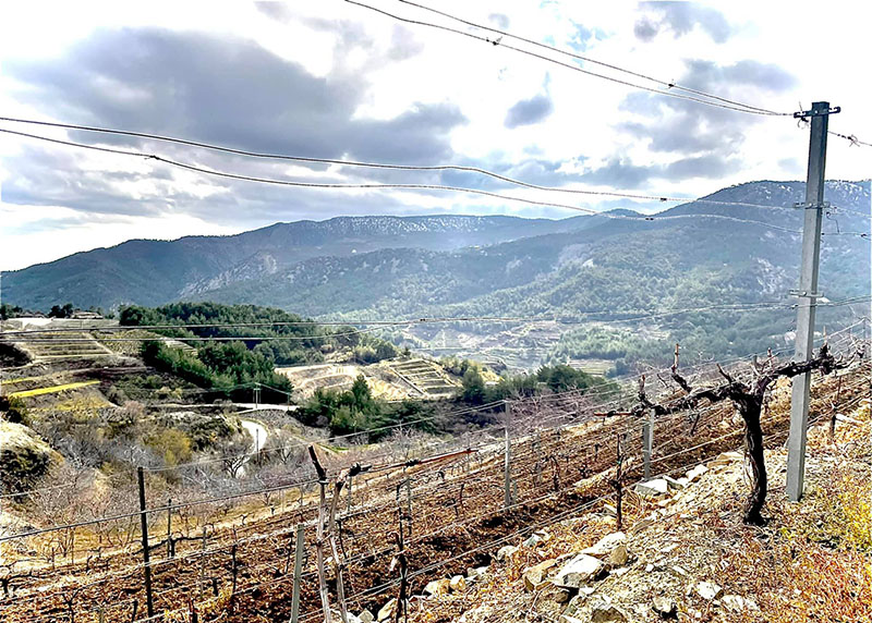 image Kyperinos Winery: fine wines from a new addition