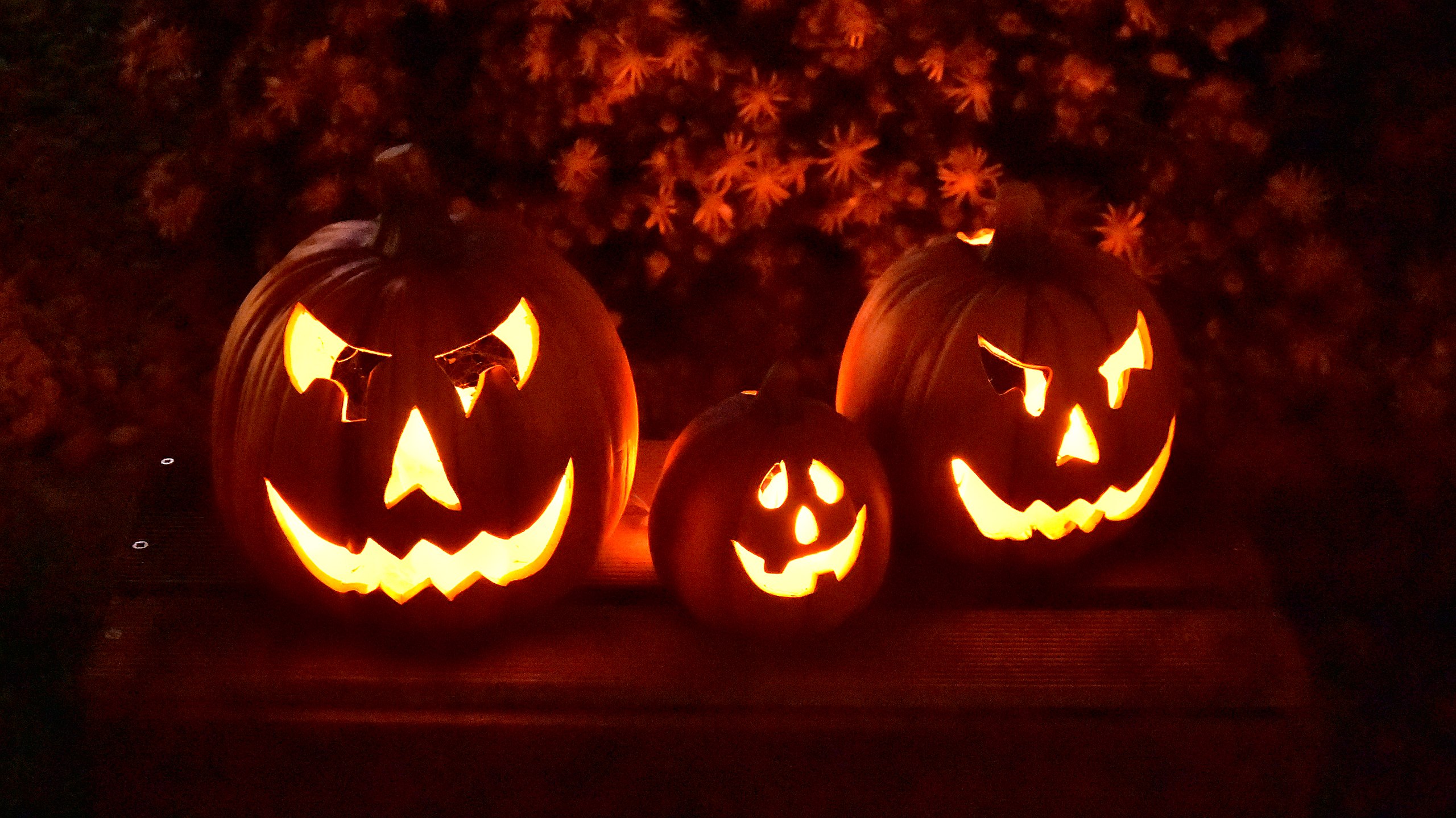 image 10 things you might not know about Halloween