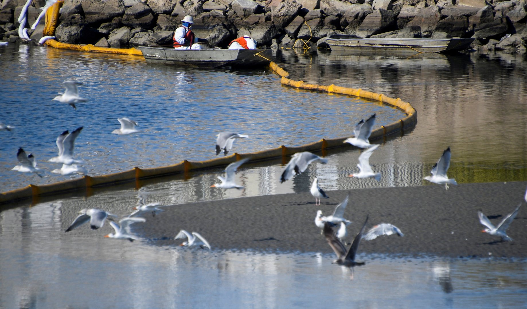 image Rush to clean up California oil spill