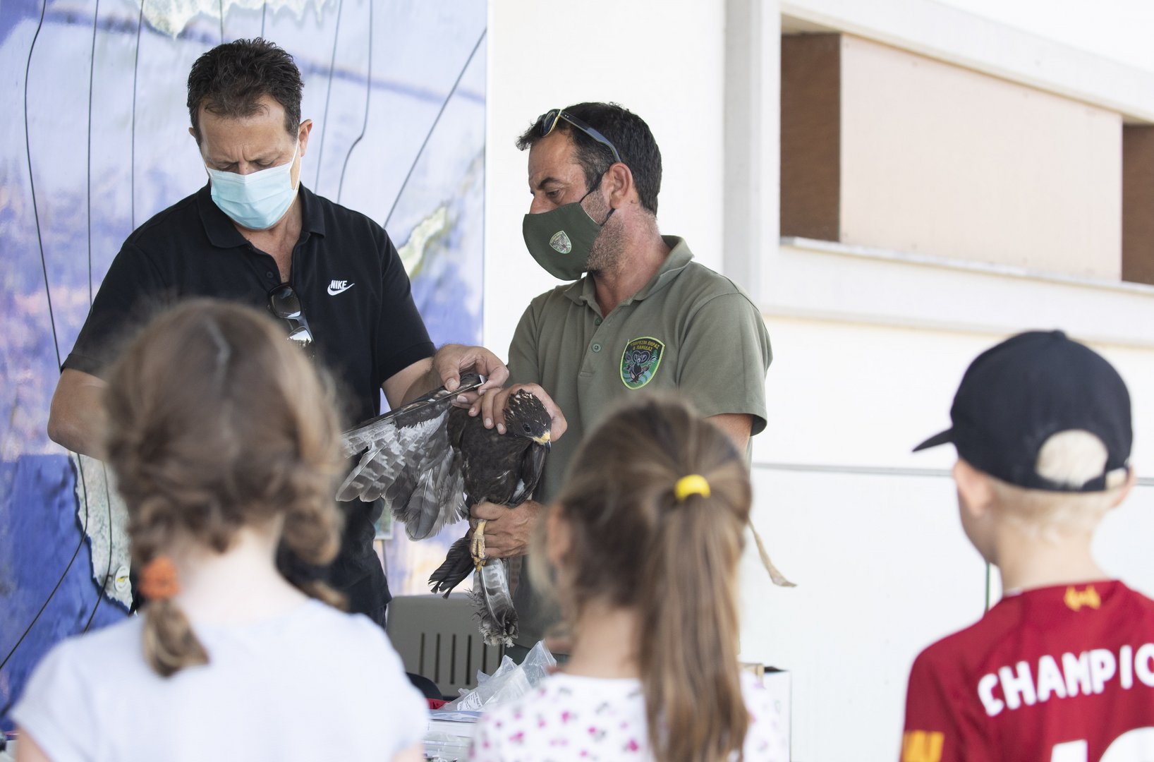 image Injured birds released back into the wild in Akrotiri