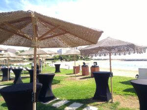Startups shine at Reflect Festival
