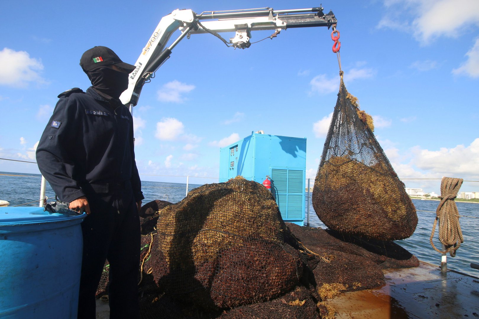 besieged by seaweed: caribbean nations, entrepreneurs scramble to make use of sargassum