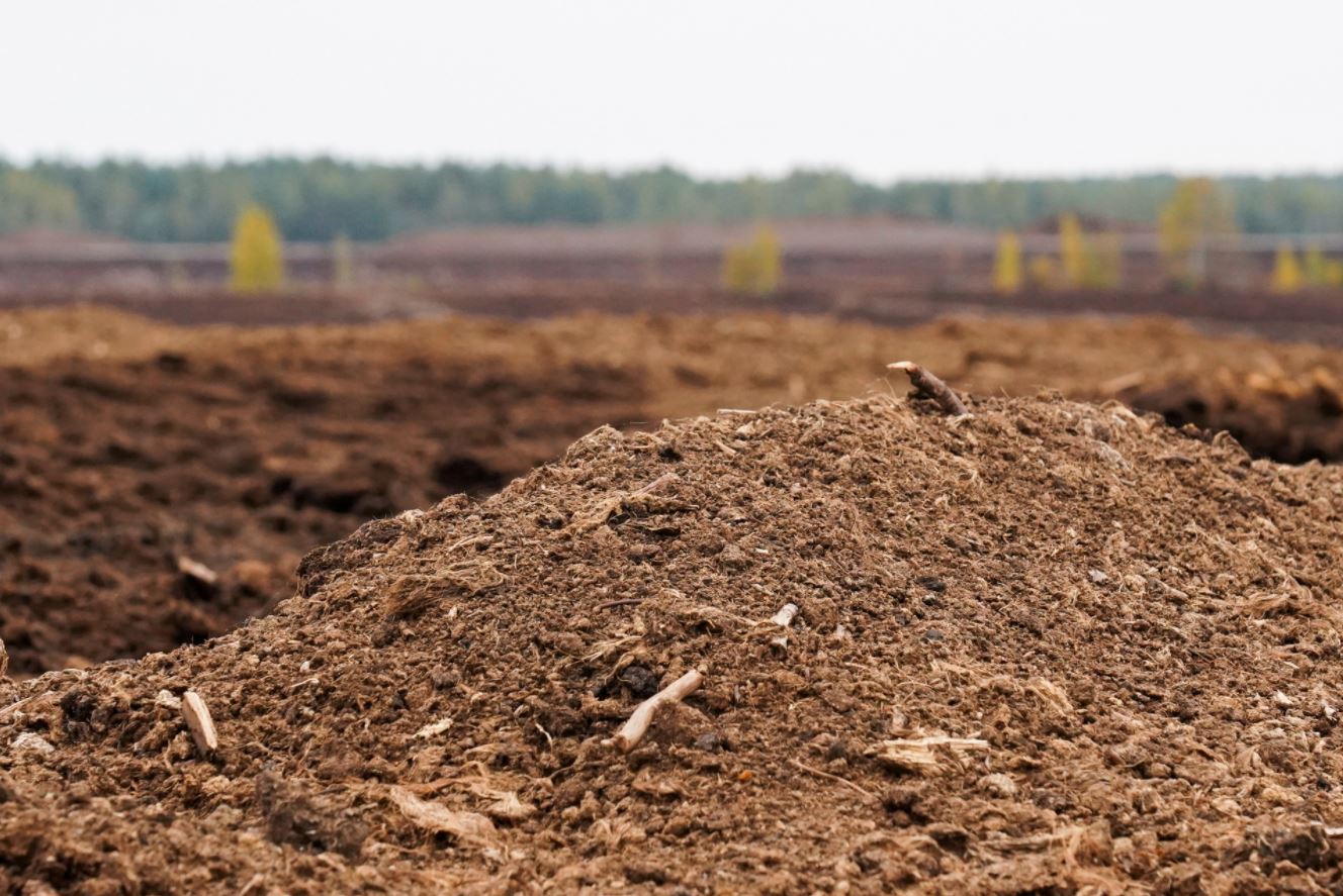 image Energy from bogs: Estonian scientists use peat to make batteries