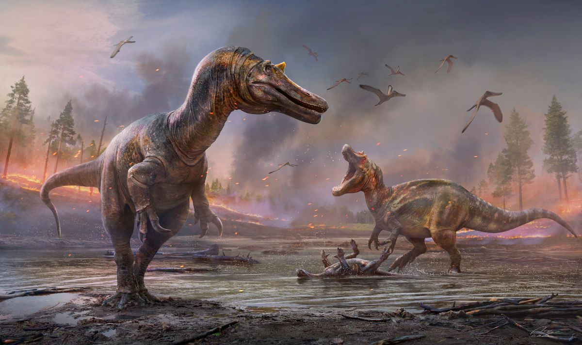 image England&#8217;s Isle of Wight was Isle of Fright, with two big dinosaur predators