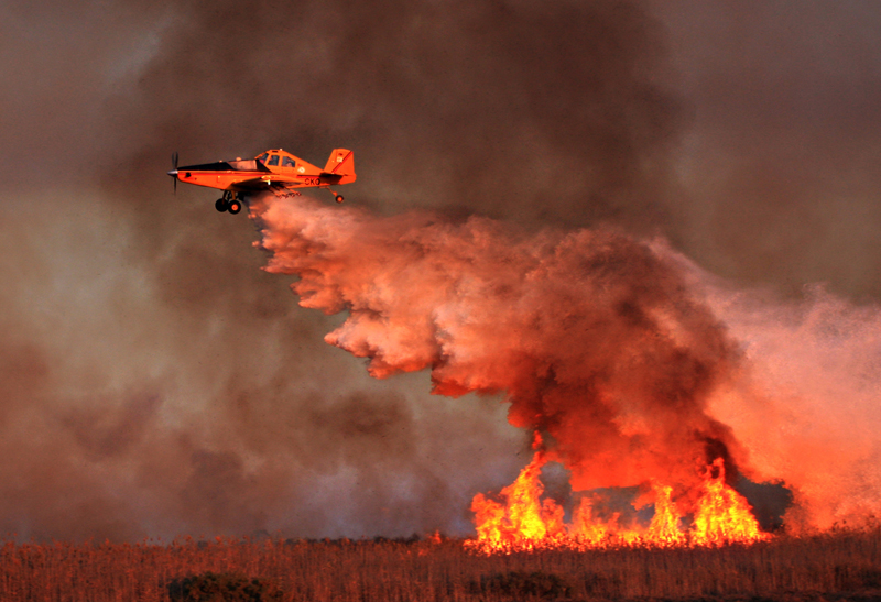 image Forestry Department chief pilot praises working relationship with Bases