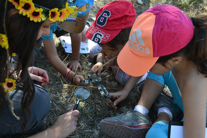image Learning in the great outdoors