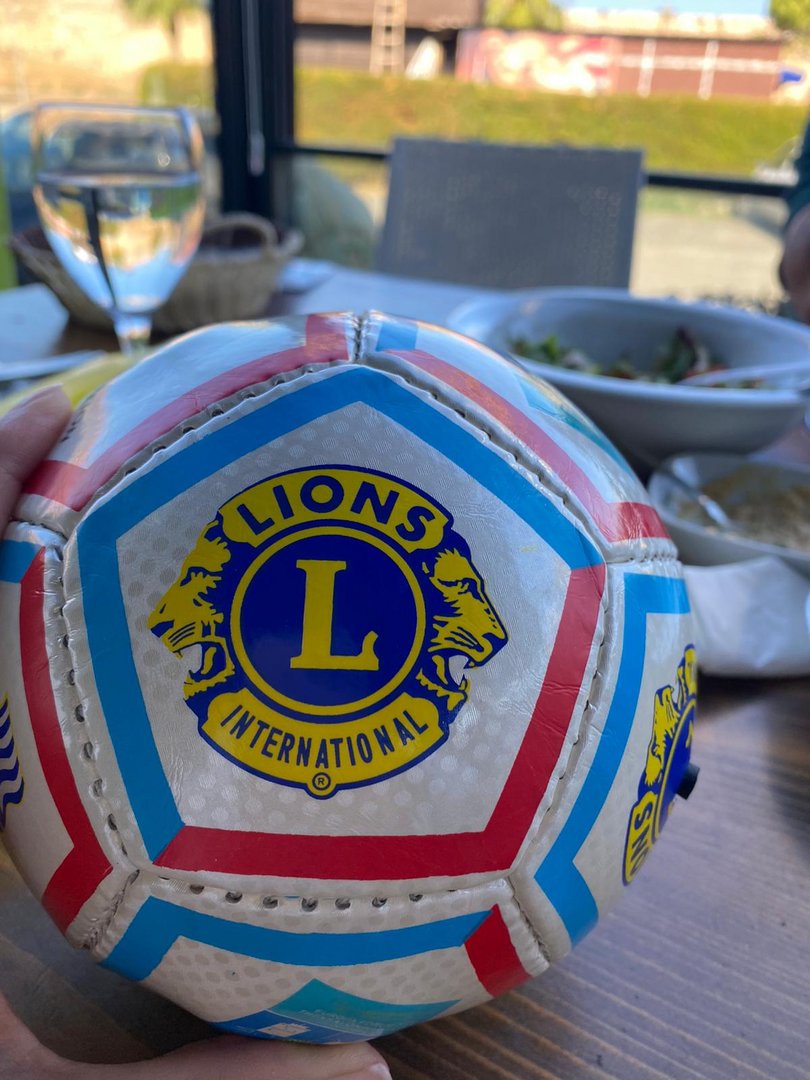 lions ball