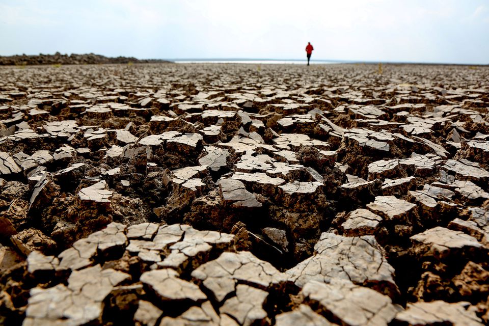image Blaming climate change, Turkish farmers count the cost of drought