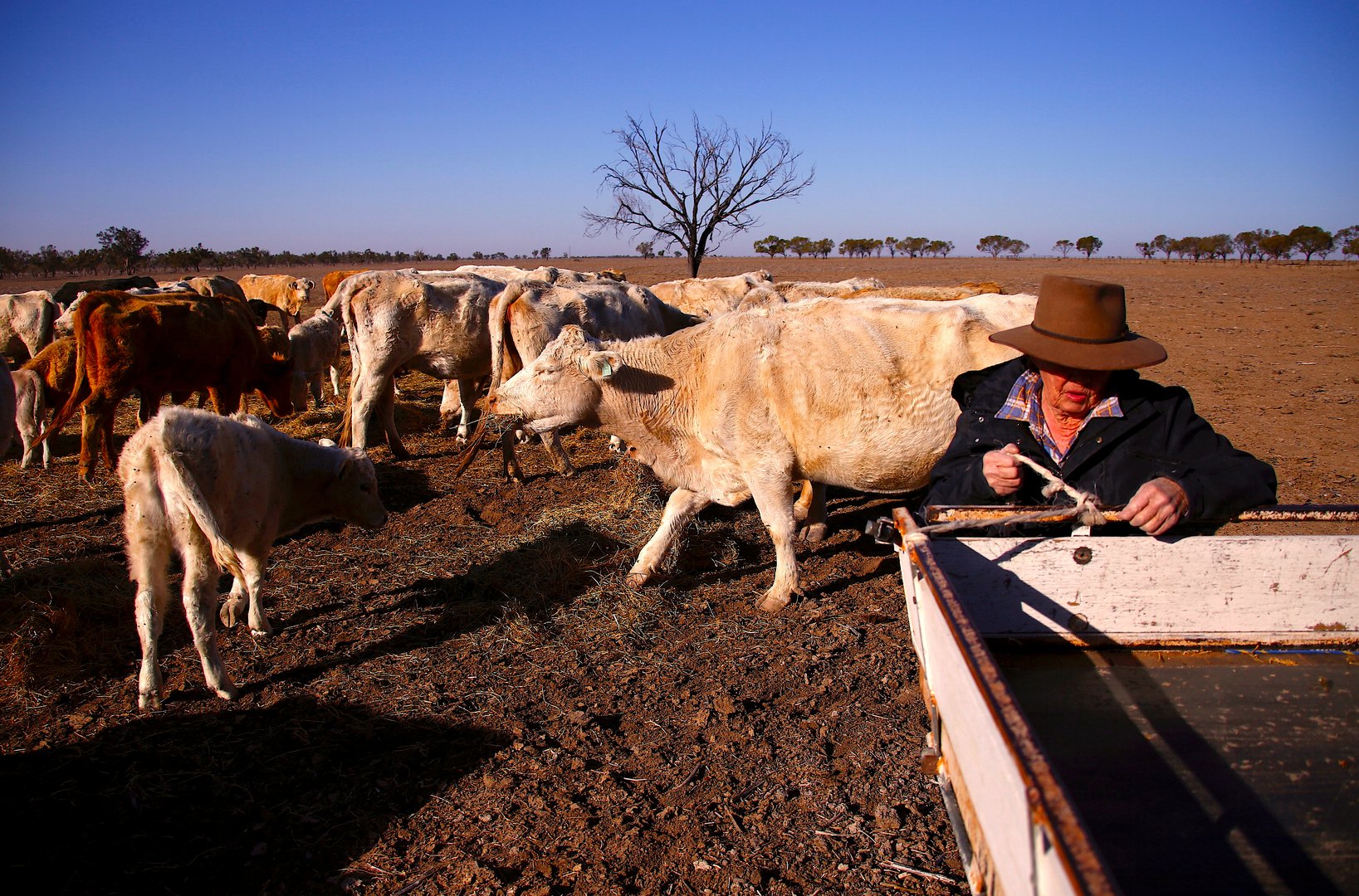 image Nearly 90 countries join pact to slash planet-warming methane emissions