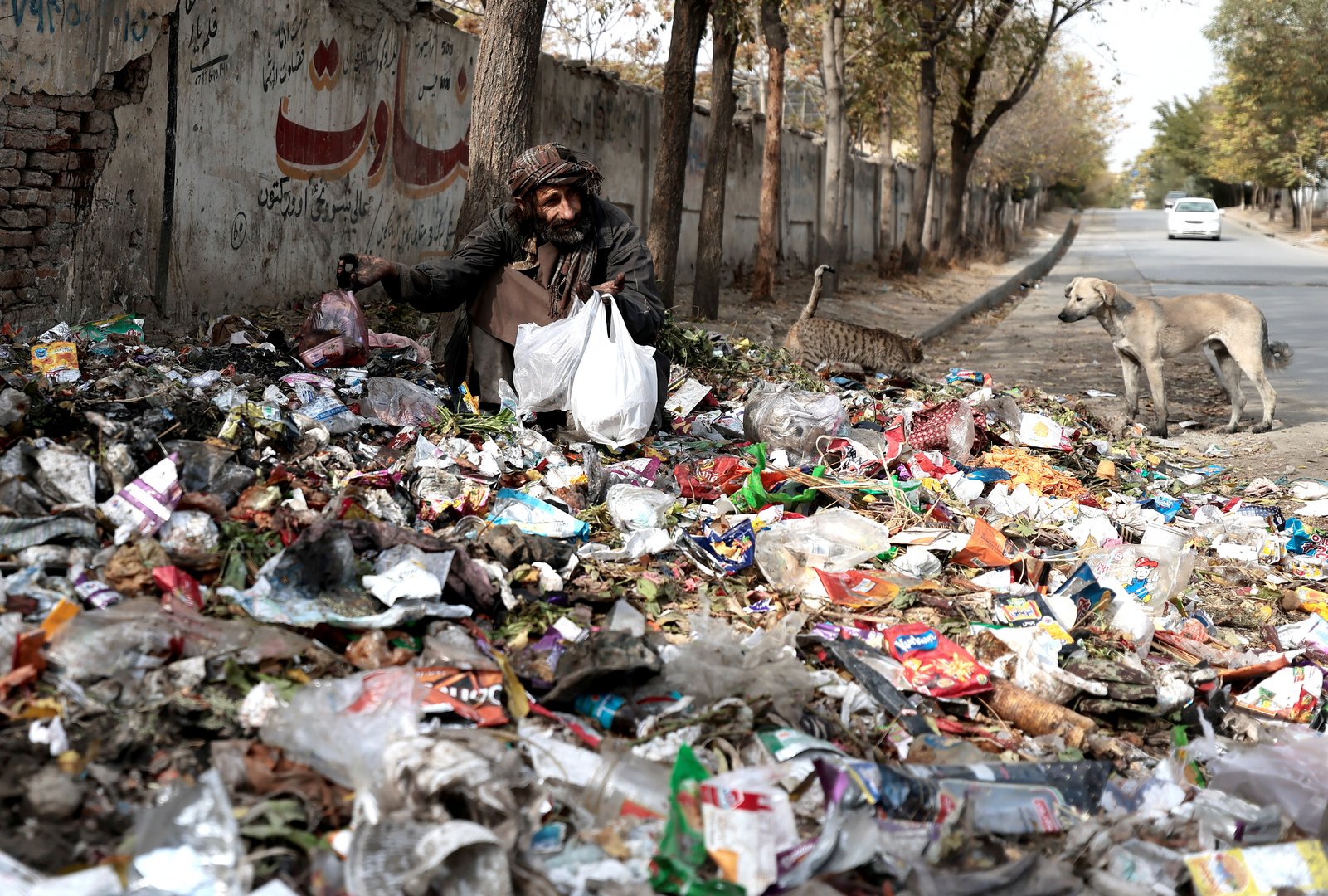 image Afghans will starve if West refuses to release funds