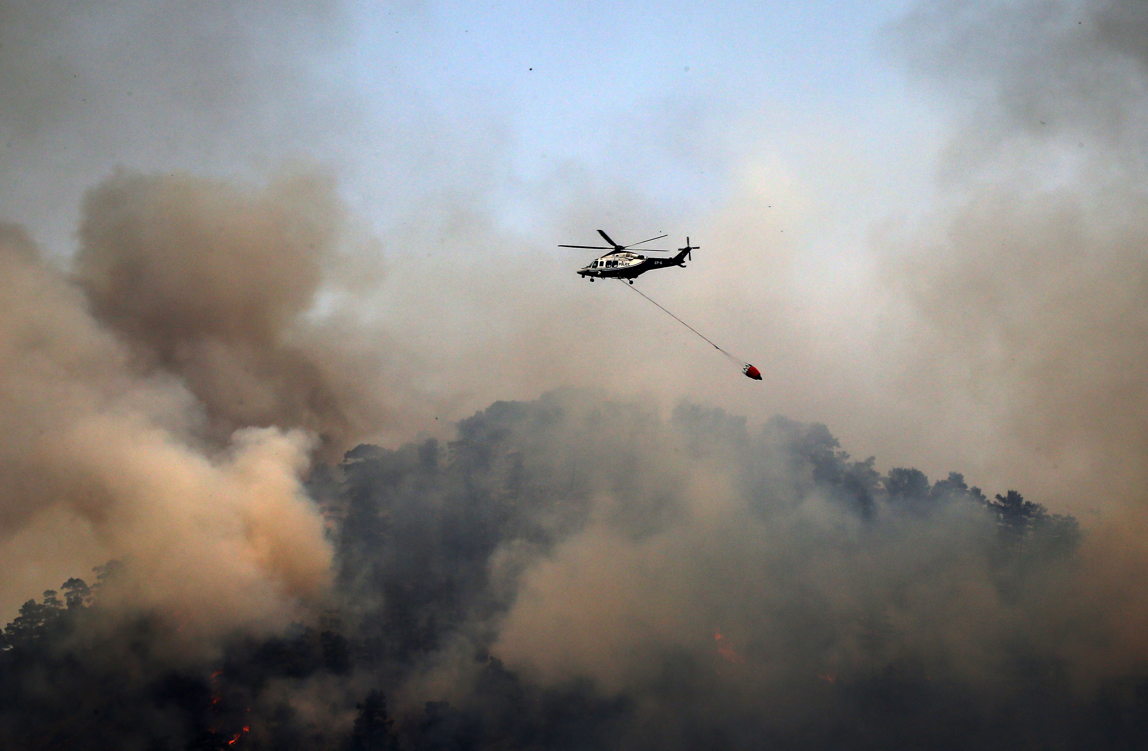image Govt to continue forest fire fighting measures