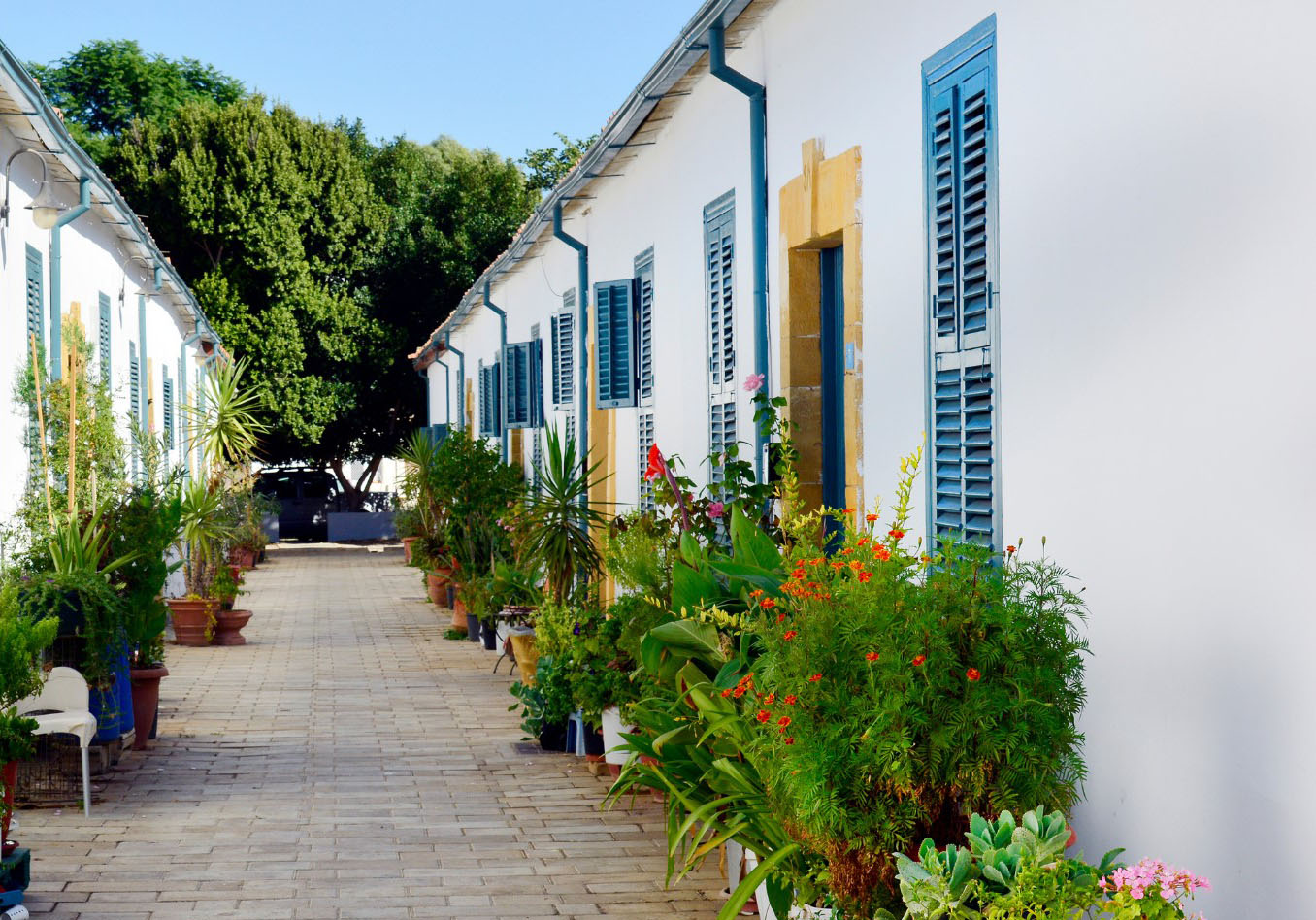 image Walking tour looks at the transformation of Nicosia